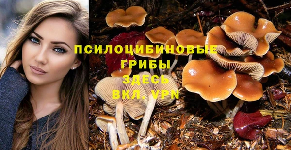 соль курить ск Корсаков