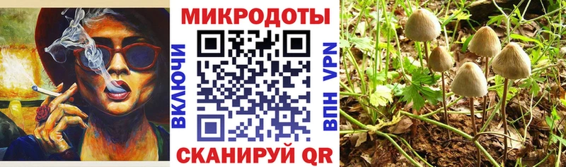 наркошоп  Пустошка  Псилоцибиновые грибы прущие грибы 