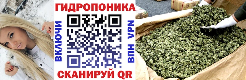 купить наркоту  Пустошка  Марихуана ГИДРОПОН 